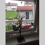 Проживание в семье Sleep Well 2 *